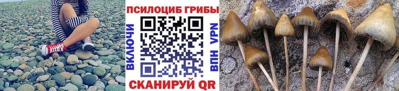blacksprut онион  Лысьва  Псилоцибиновые грибы мухоморы  даркнет сайт 